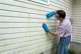 Best Siding Removal and Disposal  in China Lake Acres, CA